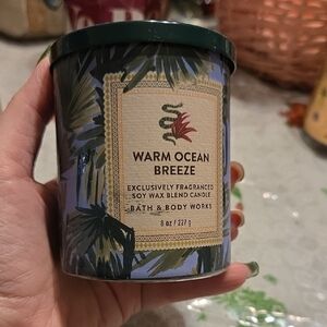 Bath & Body Works Warm Ocean Breeze Candle - Green & Blue